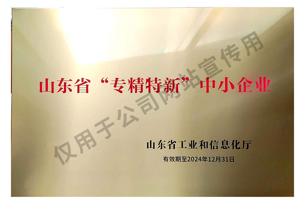 2021-山東省專精特新企業(yè)